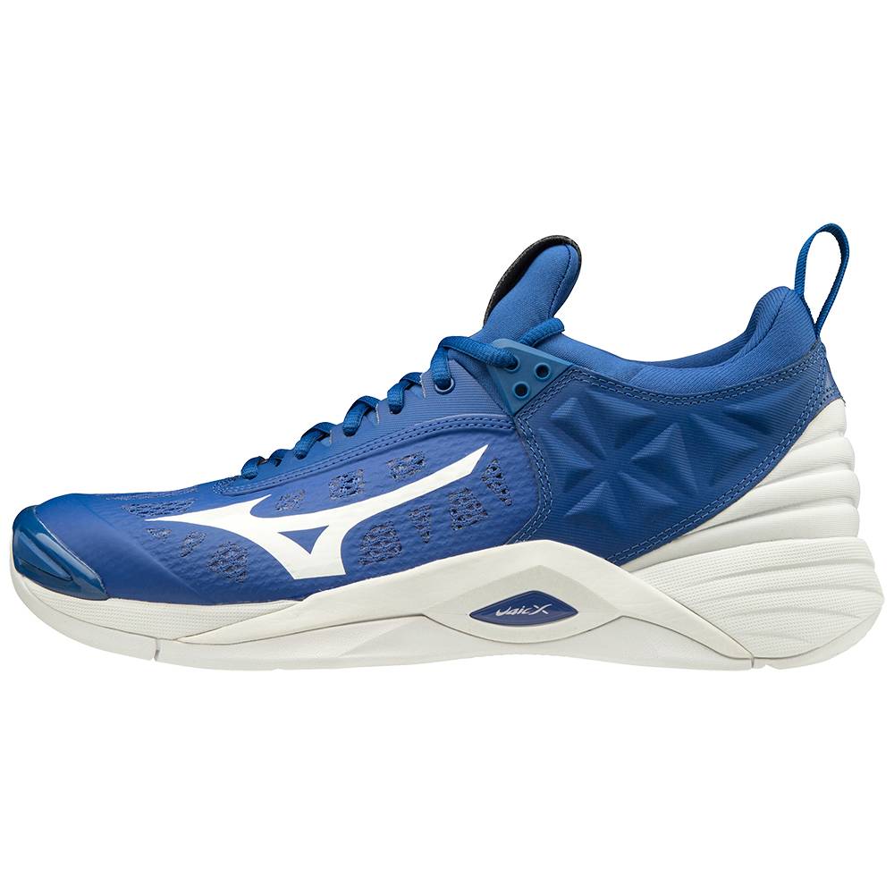 Mens Mizuno Wave Momentum Volleyball Shoes Blue/White Philippines (VGKSNZ923)